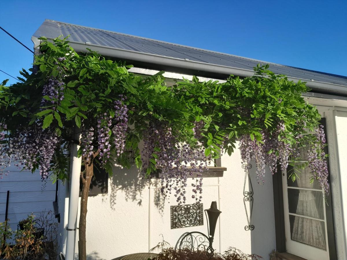The Empty Nest Hotel Geraldine Exterior foto